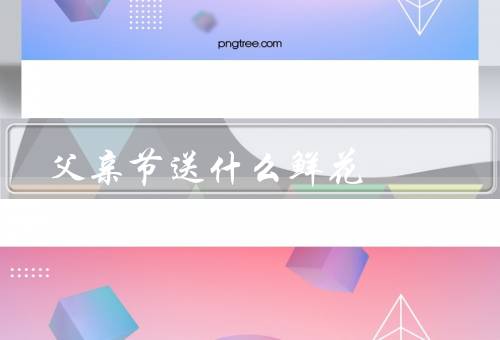 父亲节送什么鲜花（康乃馨／郁金香／百合）