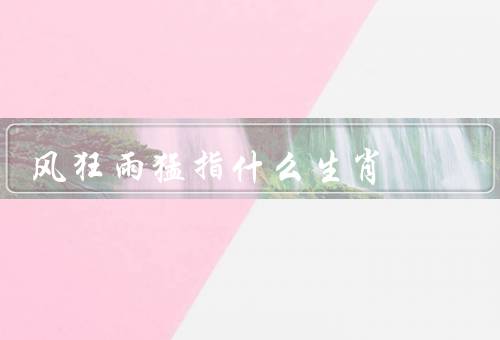 风狂雨猛指什么生肖，特点／运势／爱情