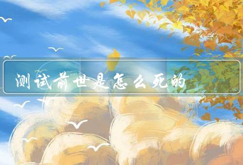 测试前世是怎么死的，前世的记忆／意外的发现／人生的反思
