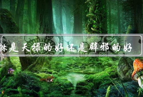 貔貅是天禄的好还是辟邪的好，天禄的好／辟邪的好／结论