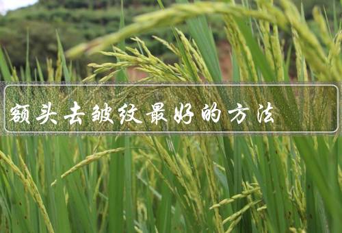 额头去皱纹最好的方法（面部、饮食调理、使用护肤品）