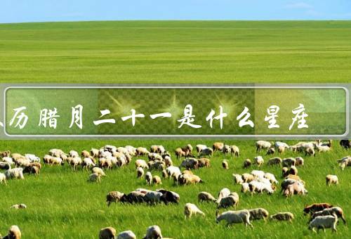 农历腊月二十一是什么星座，定义、农历腊月二十一的习俗、与命运