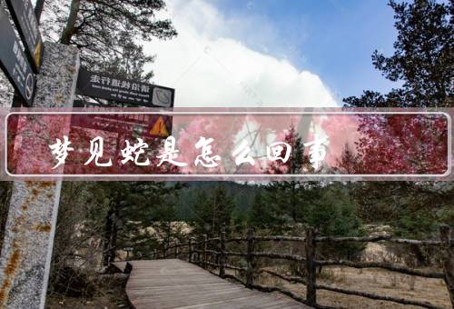 梦见蛇是怎么回事，象征含义、可能解释、如何理解
