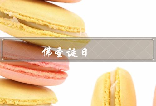 释迦牟尼佛圣诞日，佛陀的诞生、庄严的法会、禅修与默想