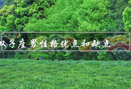 双子座男性格优点和缺点，机智聪慧、善于沟通、多才多艺