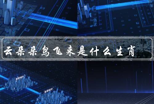白云朵朵鸟飞来是什么生肖，什么生肖／象征意义／美丽传说