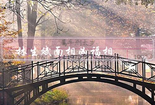 林生斌面相凶福相，凶相／福相／凶福相结合