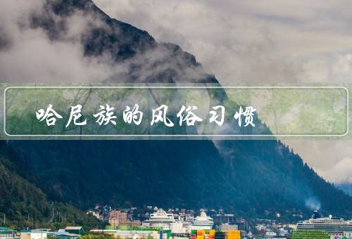哈尼族的风俗习惯（婚姻习俗／服饰文化／民间艺术）