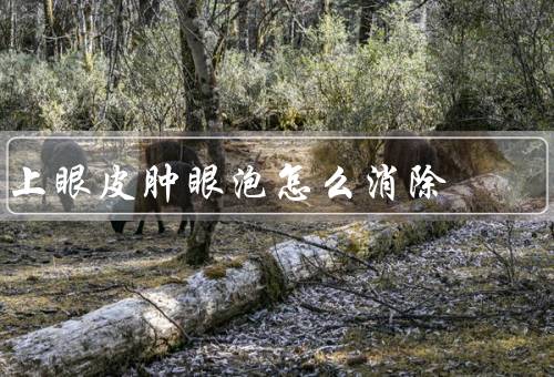 上眼皮肿眼泡怎么消除（保持良好的生活习惯／眼部护理／饮食调理）
