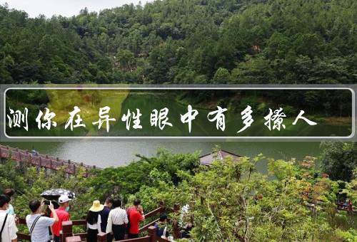 测测你在异性眼中有多撩人（自信心／幽默感／真诚与关心）