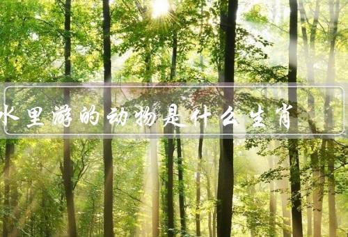 水里游的动物是什么生肖，水里游的动物属于生肖中的哪些生肖／鼠