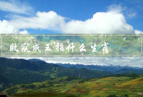 败寇成王指什么生肖，鼠／虎／龙