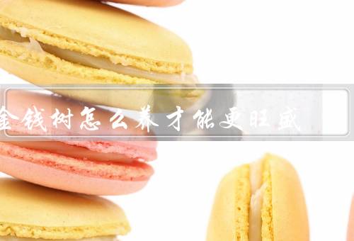 金钱树怎么养才能更旺盛，选择合适的光照、科学浇水