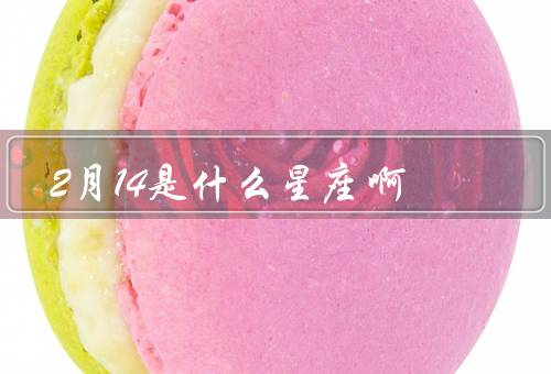 2月14是什么星座啊（水瓶座、双鱼座、其他星座）