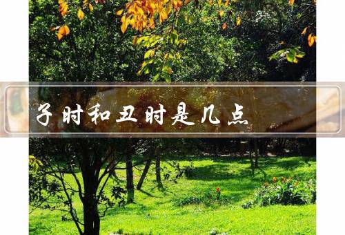 子时和丑时是几点，子时／丑时／总结