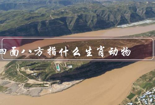 四面八方指什么生肖动物（东方／南方／西方）