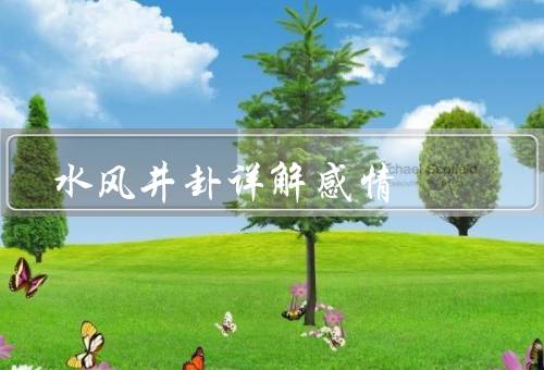 水风井卦详解感情，水风井卦／萌芽／发展与变化