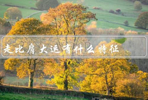 走比肩大运有什么特征，积极进取／坚持训练／团队合作