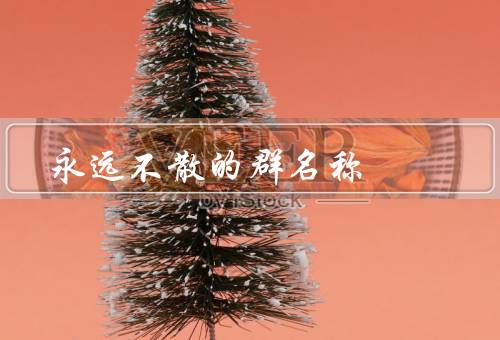 永远不散的群名称，天涯海角／大家庭／青春花开