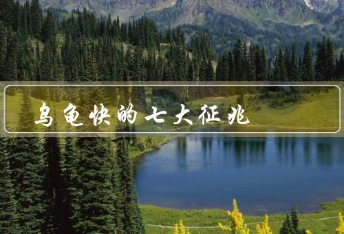 乌龟快死的七大征兆（食欲不振、活动减少、呼吸困难）