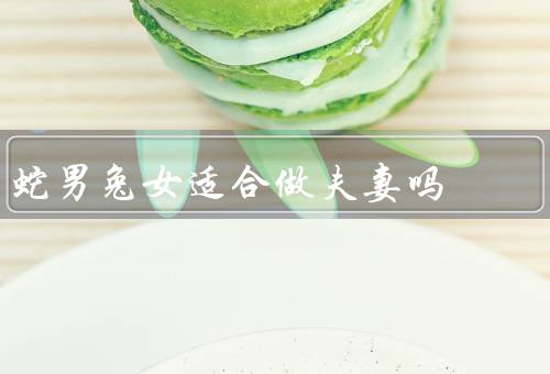 蛇男兔女适合做夫妻吗，个性特点／相互支持／相互包容