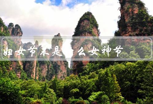 妇女节不是什么女神节，由来／意义／庆祝方式