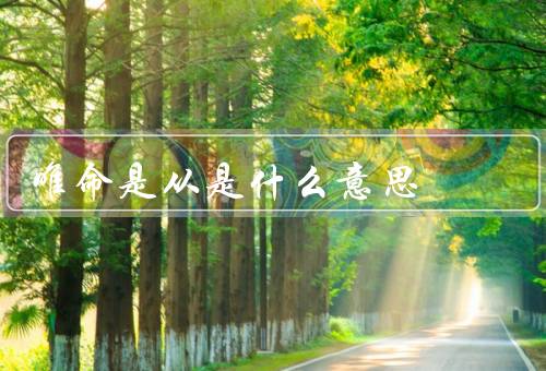 唯命是从是什么意思，来源／含义／影响