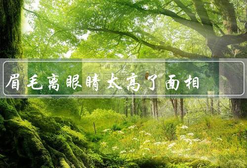 眉毛离眼睛太高了面相，冷漠的感觉／不自信的印象／缺乏智慧的感觉