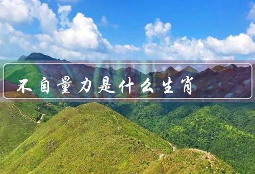 不自量力是什么生肖，个性特点、职业选择、人际关系