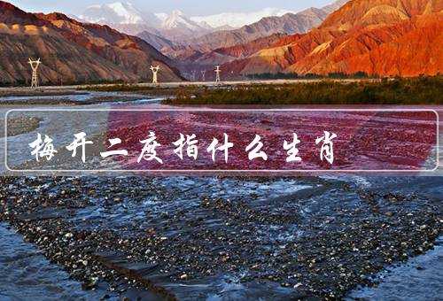 梅开二度指什么生肖，指什么生肖、寓意、影响