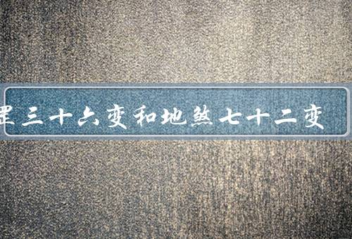 天罡三十六变和地煞七十二变，天罡三十六变、地煞七十二变