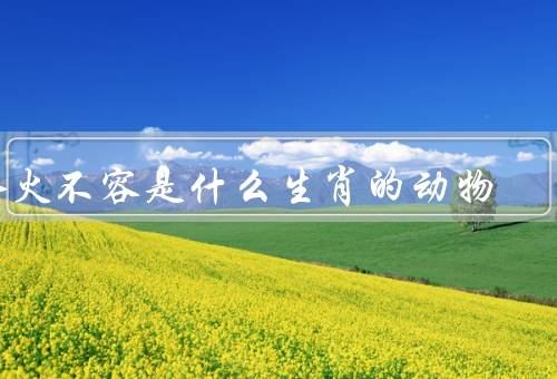 水火不容是什么生肖的动物（性格特点／与其他生肖冲突／善解人意）