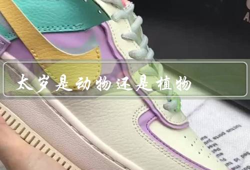 太岁是动物还是植物，起源、动物的说法、植物的说法