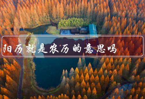 阳历就是农历的意思吗（农历／和农历的区别）