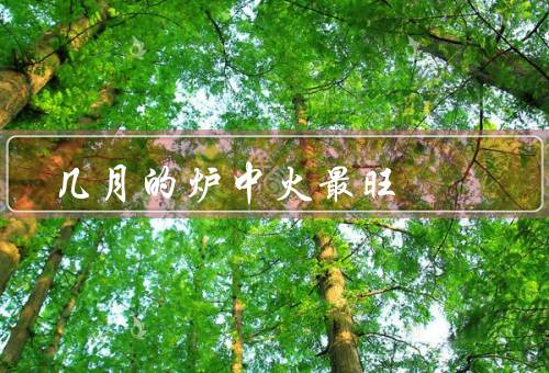 几月的炉中火最旺（秋意渐浓／丰收的季节／亲情的交流）