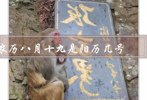 农历八月十九是阳历几号（含义／与阳历的转换方法／对应的阳历日期）