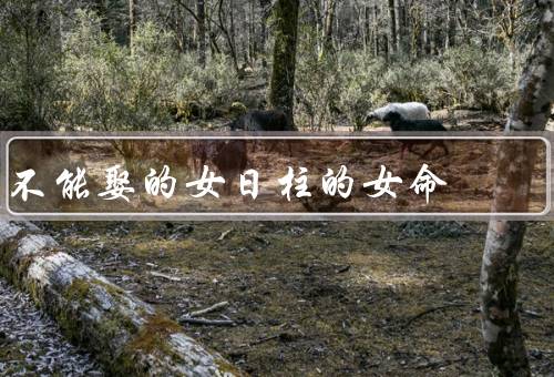 不能娶的女日柱的女命，太强／太弱／冲克