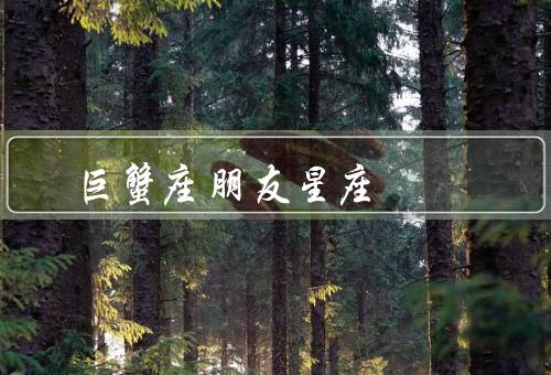 巨蟹座最佳朋友星座（情感细腻／善解人意／忠诚可靠）