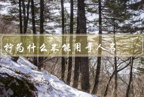 柠为什么不能用于人名（气味不适合用于人名、味道不适合用于人名）