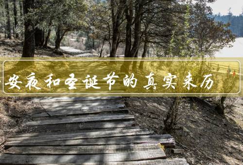 平安夜和圣诞节的真实来历（来历／圣诞节的来历）