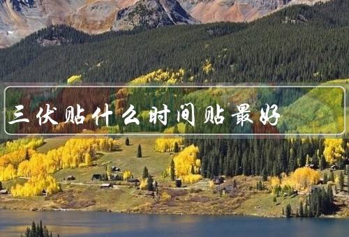 三伏贴什么时间贴最好（早晨贴敷／午后贴敷／晚上贴敷）