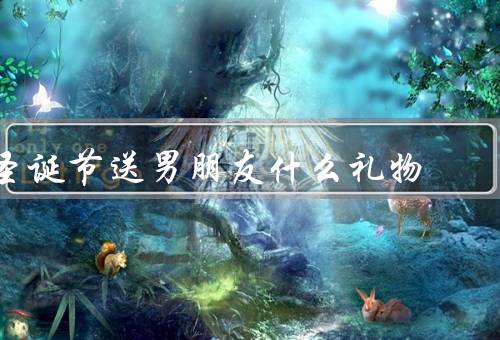 圣诞节送男朋友什么礼物，个性化礼物／实用的礼物／浪漫的礼物