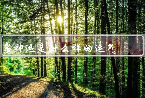 枭神运是什么样的运气（特征／运气表现／启示）