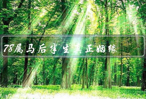 78属马后半生真正姻缘，幸福的人生／实现梦想的机会