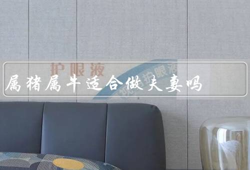 属猪属牛适合做夫妻吗，优势、问题、夫妻相处之道