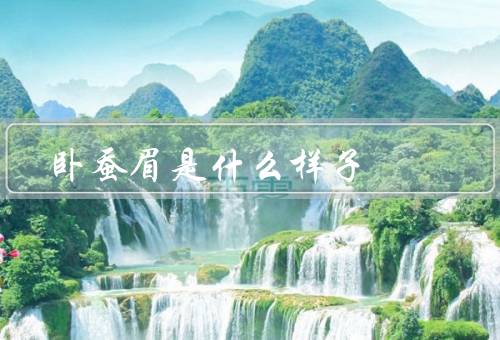 卧蚕眉是什么样子（特点／适合人群／如何修剪）