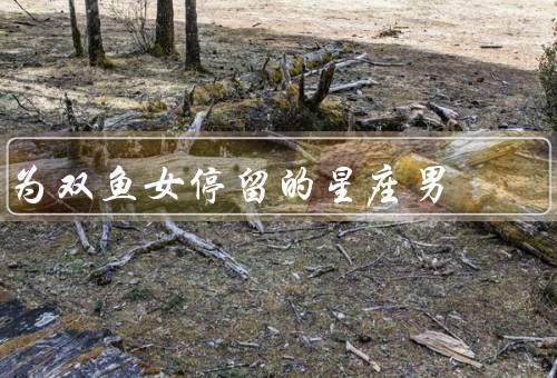 为双鱼女停留的星座男，巨蟹男／天秤男／双子男