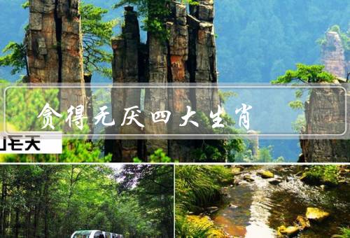 贪得无厌四大生肖（四大生肖之一、表现、危害）