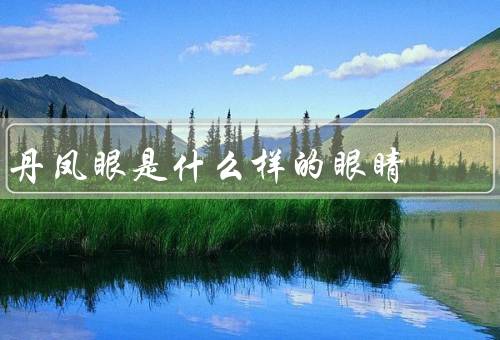 丹凤眼是什么样的眼睛（外观、形状、特征）