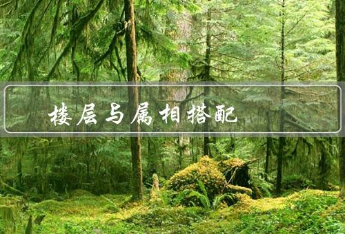 楼层与属相最佳搭配（最佳搭配、科学解释）